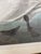 John James Audubon Birds of America Collection Common American Swan Original Print, Signed For Sale - Image 9 of 12