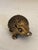2000 - 2009 Miniature Brass Hedgehog Figurine, Vintage For Sale - Image 5 of 6