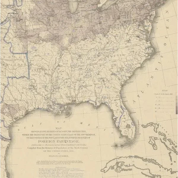 Antique Chart of the US Foreign Parentage, 1874 For Sale - Image 4 of 5