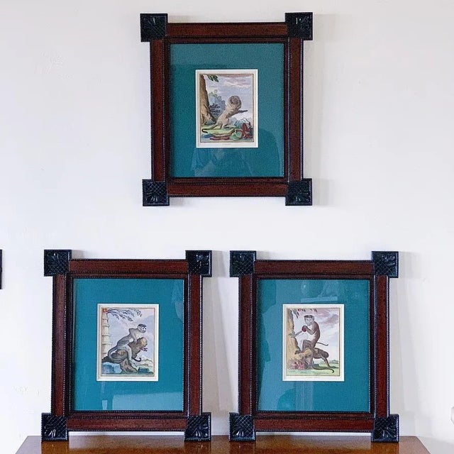 Early 19th Century Set of Three Historical Hand Colored Natural Etchings of Monkeys by Charles Baquoy in Designer Frames by Janis Aldridge - Set of 3 For Sale - Image 10 of 10