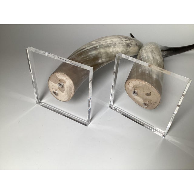 Black Natural Steer Horns on Lucite Bases - A Pair For Sale - Image 8 of 8