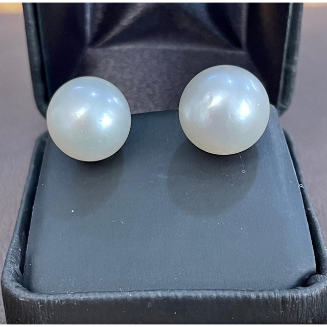 2020s 13 MM White South Sea Pearl Stud Earrings 14 Karat Yellow Gold For Sale - Image 5 of 8