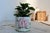 Small Vintage Earthenware Planter with Pink Flower Pattern For Sale - Image 4 of 9