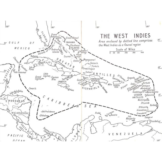 "A Field Guide to the Butterflies of the West Indies" 1975 Riley, Norman D. For Sale - Image 10 of 12