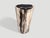 Andrianna Shamaris Modern Organic High Quality Petrified Wood Side Table For Sale - Image 4 of 5
