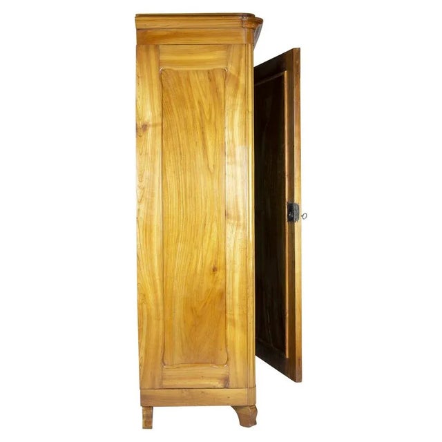 Antique Viennese Biedermeier Wardrobe in Cherrywood For Sale - Image 4 of 10