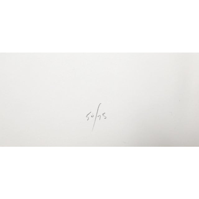 Op Art Odalisque, Roy Ahlgren Screen Print For Sale - Image 3 of 5