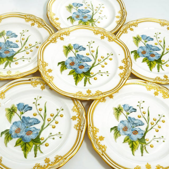 First introduced in the late 20th century (1986–2015), Spode’s Stafford Flowers collection continues the brand’s tradition...