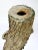 Large Ceramic Tree Trunk Decorative Planter, 1970s For Sale - Image 4 of 10