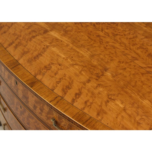 George III Satinwood & Banded Bow Fronted Chest Commode, 1790s For Sale - Image 14 of 18
