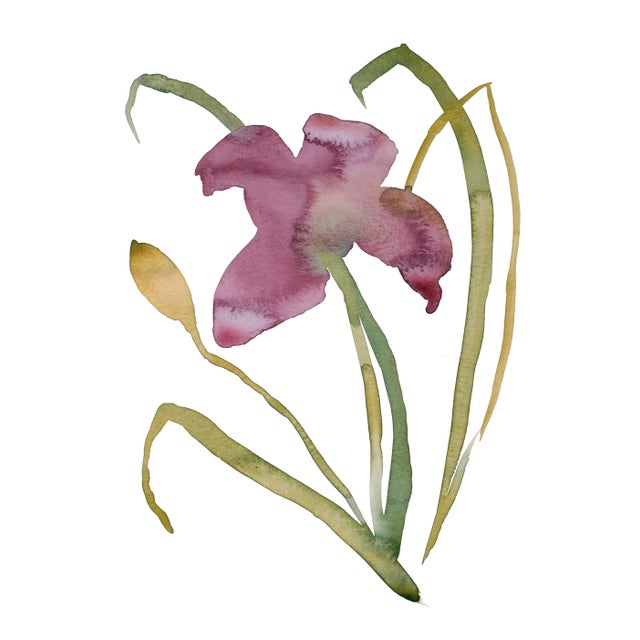 "Lily No. 16" Contemporary Original Botanical Flower Watercolor Painting by Elizabeth Becker For Sale