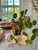 Pair of Vintage Plaster Risers For Sale In Philadelphia - Image 6 of 10