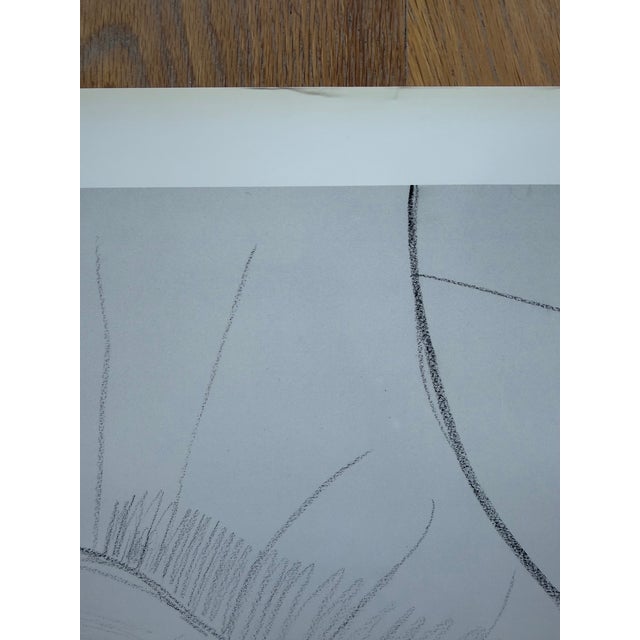 David Hockney (1937-2026), Black and White Dogs Exhibition Poster, 1994, Copyright David Hockney, Printed in the Uk For Sale - Image 13 of 18