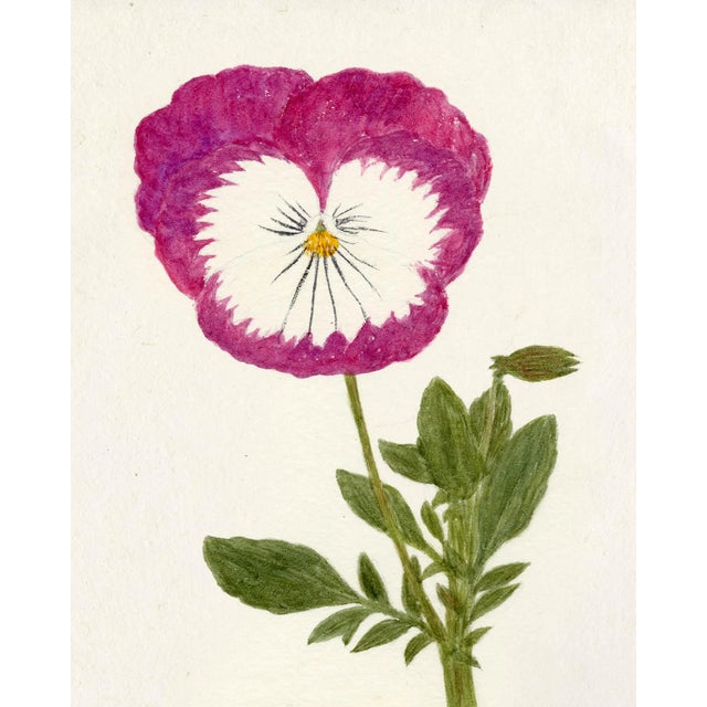 Soft lines, bright colors and neutral backgrounds accentuate the delicate details found in this collection sourced from...