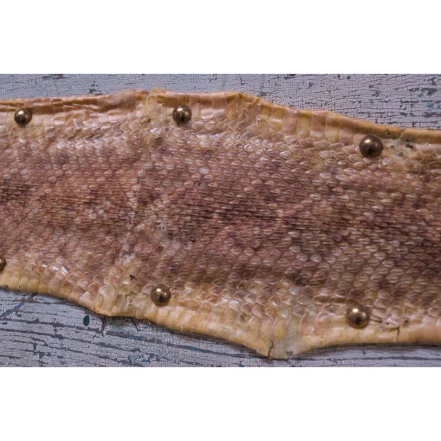 Mounted Diamond Back Rattlesnake Skin For Sale - Image 9 of 13