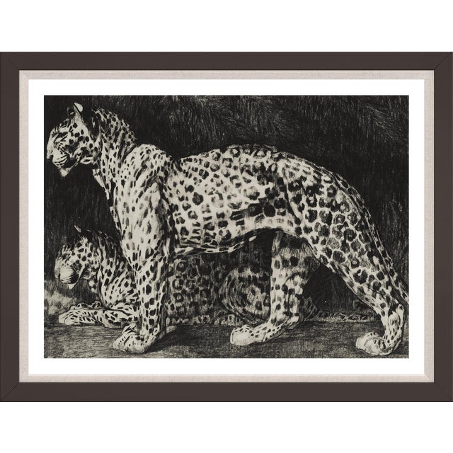 Big Cats 2, Framed Artwork For Sale