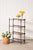 Antique English mahogany bookshelf with serpentine shelves, a scalloped back, and open three-tier design.
