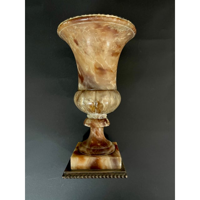 Italian Neoclassical Grand Tour Urn, 1820 For Sale - Image 11 of 12