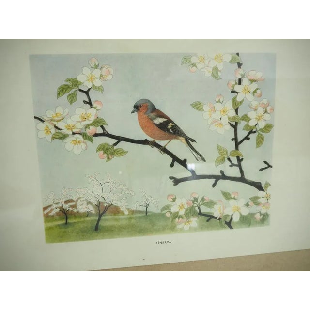 School Poster, Czechoslovakia, 1960s For Sale - Image 4 of 6