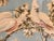 "Turner Wall Art" is famous amongst aficionadas for their groovy bird prints from the 1940-1950 era. This print in an...