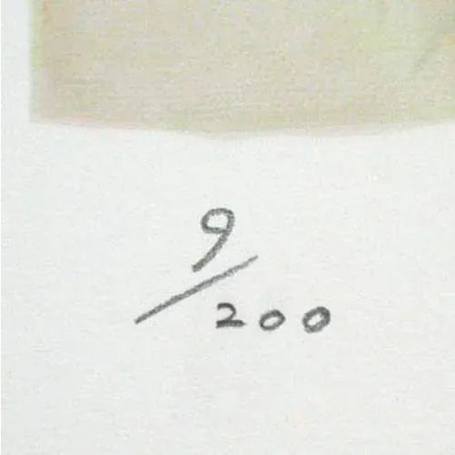 1980s Earl Linderman "La Femme With Parrot" Signed Serigraph Artwork For Sale - Image 5 of 5