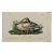 Audubon Trumpeter Swan: An Original 1st Edition Hand Colored Audubon Bird Lithograph, 1840 For Sale