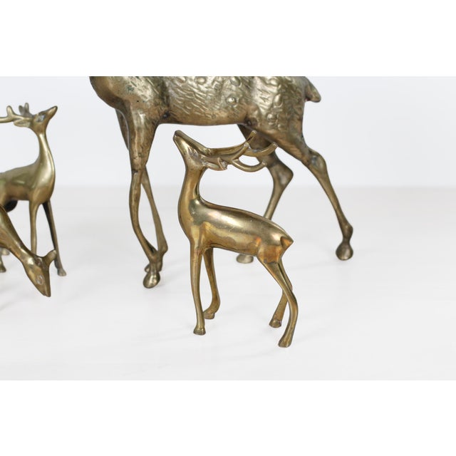 Mid-Century Brass Deer Family, Set of 4 | Large Stag and Fawns For Sale - Image 10 of 15