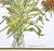 2020s Original Watercolor Painting “Yellow Astilbe and Phlox” For Sale - Image 5 of 7