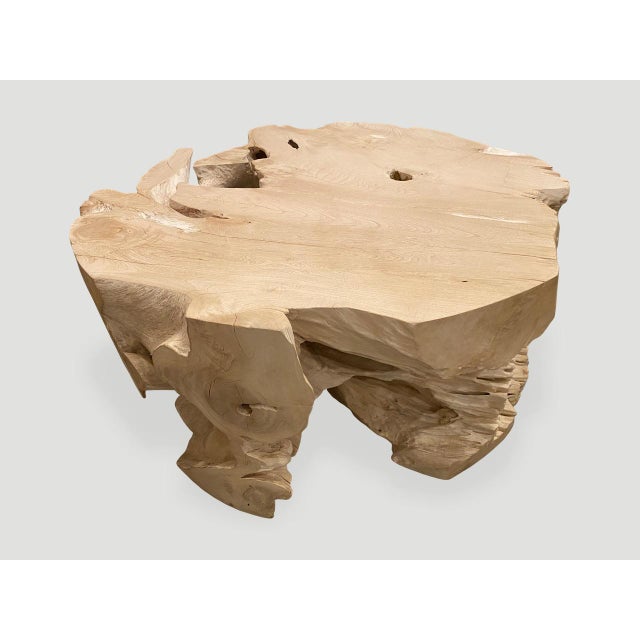 Andrianna Shamaris Organic Bleached Teak Wood Coffee Table or Side Table For Sale - Image 11 of 18