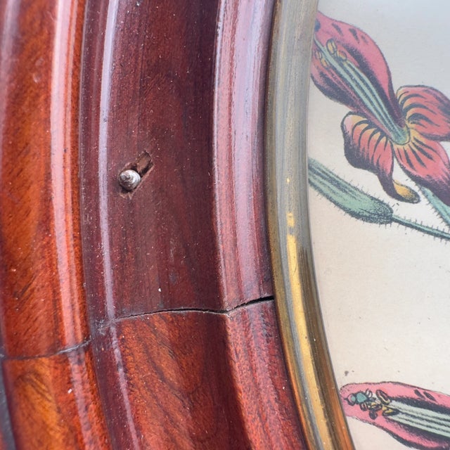 Mid 19th Century Circa 1840's Floral Antique Print Jane Loudon Hand-Colored Lithograph of Mimulus in 19th Cen Oval Frame For Sale - Image 5 of 12