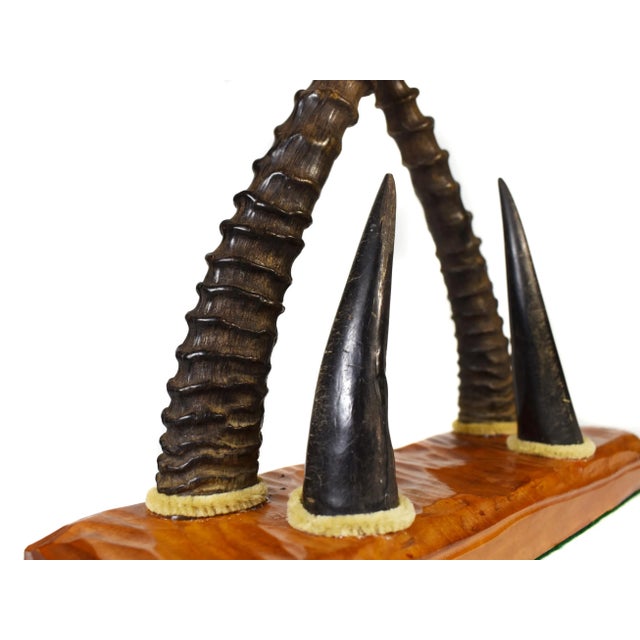 Wood Early 20 Century Antelope Horn Desk Letter Paper Organizer For Sale - Image 7 of 11