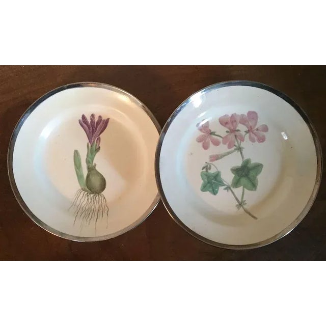 Pair antique early 19th c. Shorthose pearlware plates decorated with botanical specimens. Marked in red script on the back...