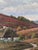Countryside Landscape, Oil Painting, Framed For Sale - Image 12 of 16