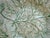 Antique 19th Century Continental White Cabbage Ware Plate | Green Veining For Sale - Image 4 of 4