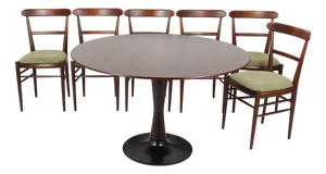 Mid-Century Modern Dining Set, Czechoslovakia, 1960s, Set of 7
