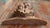 Wood 19th Century or Earlier Folk Art Carved Bearded Figure Head in Oak, North Wind Sea God For Sale - Image 7 of 16