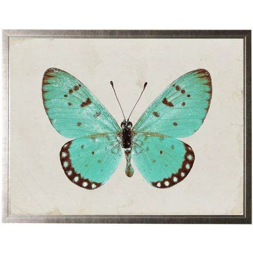 Boho Chic Turquoise Butterfly For Sale - Image 3 of 3