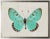 Boho Chic Turquoise Butterfly For Sale - Image 3 of 3