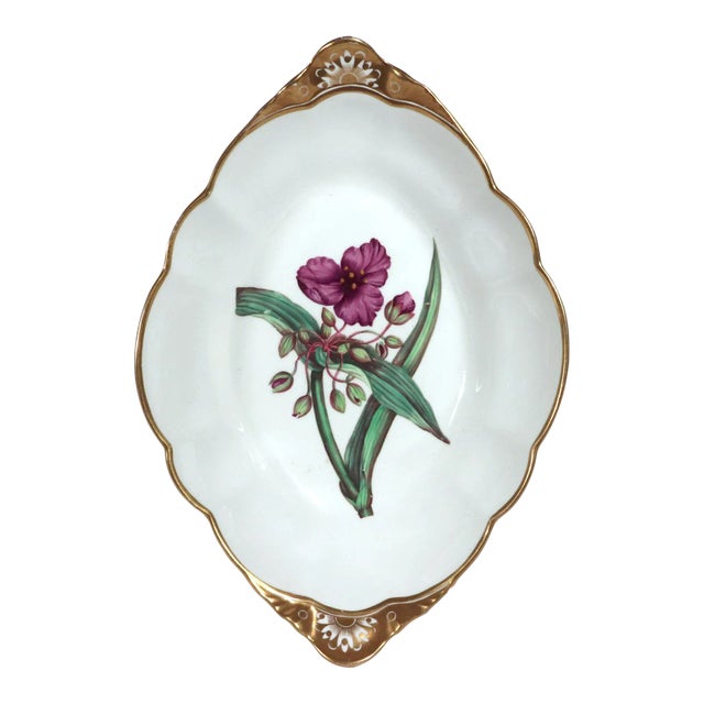Spode Porcelain Botanical Specimen Dish- Spring Meadow Saffron, After William Curtis For Sale