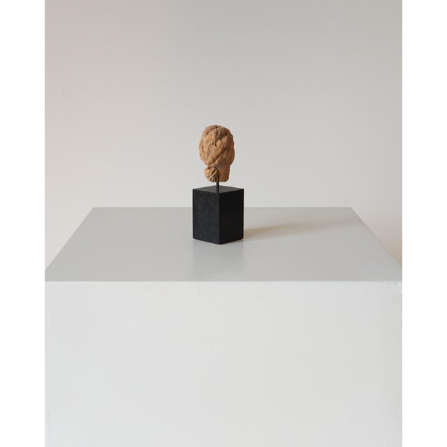 Unknown, Ancient Greek Terracotta Head, 1800s, Terracotta For Sale - Image 6 of 9
