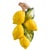 Vintage-Style Italian Majolica Lemon Wall Plaques by Bassano Del Grappa Ceramiche - Pair For Sale In San Diego - Image 6 of 13