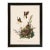 Yellow Breasted Chat Duchess Edition, After Audubon Reproduction Print, Framed For Sale
