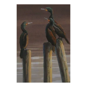 Vintage Robert Barrett *3 Cormorants* Birds Painting Wildlife Artist
