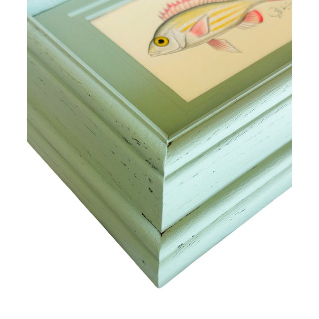 Realism Original Hand-Painted Fish Painting in a Hand-Painted Frame For Sale - Image 3 of 4