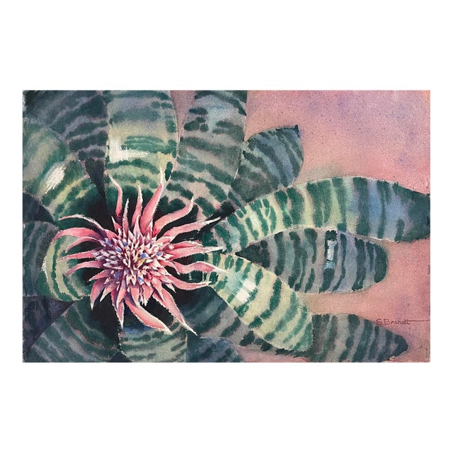 1980s Sarah Brandt Bromeliad Botanical Watercolor For Sale