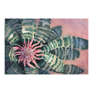 1980s Sarah Brandt Bromeliad Botanical Watercolor