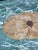 Italian Alps Green Marble Table with Grissinato Edge, 1935 For Sale - Image 9 of 12