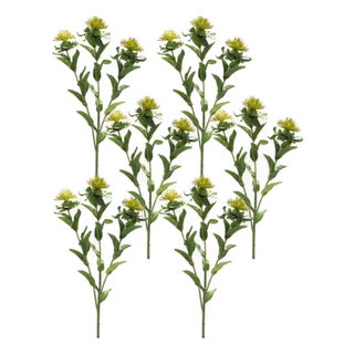 Green Thistle Floral Spray (Set of 6) For Sale