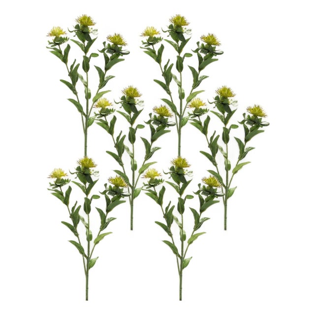 Green Thistle Floral Spray (Set of 6) For Sale