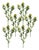 Green Thistle Floral Spray (Set of 6) For Sale